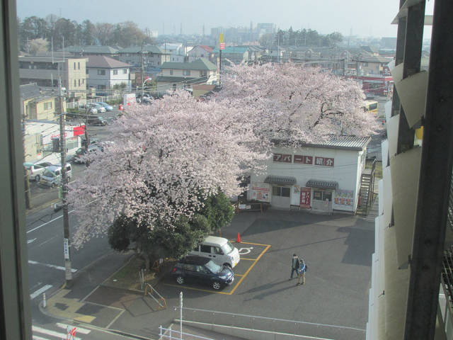 morning picdump 50 pics 45.html - 50 HD Photos | Premium Gallery 2015