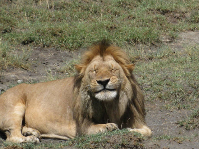 morning picdump 50 pics 45.html - 50 HD Photos | Premium Gallery 2015