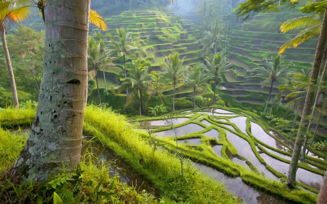 morning picdump 51 pics 16.html - 51 HD Photos | Premium Gallery 2015