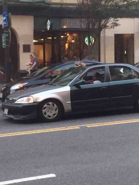 morning picdump 51 pics 16.html - 51 HD Photos | Premium Gallery 2015