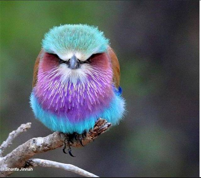 morning picdump 51 pics 16.html - 51 HD Photos | Premium Gallery 2015