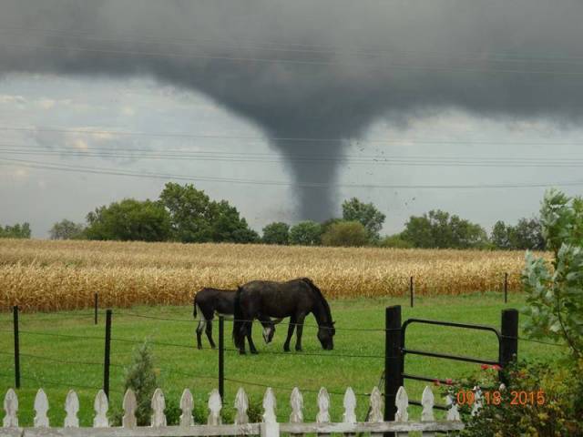 morning picdump 51 pics 16.html - 51 HD Photos | Premium Gallery 2015