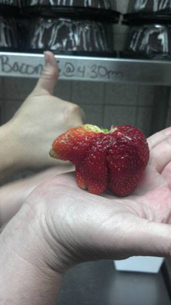 morning picdump 51 pics 16.html - 51 HD Photos | Premium Gallery 2015