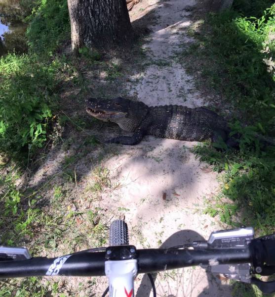 morning picdump 53 pics 36.html - 53 HD Photos | Premium Gallery 2015