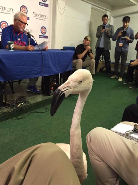 morning picdump 53 pics 36.html - 53 HD Photos | Premium Gallery 2015