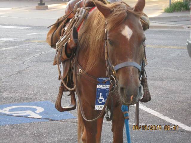 morning picdump 53 pics 36.html - 53 HD Photos | Premium Gallery 2015