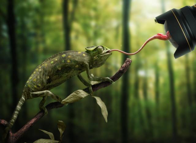 morning picdump 53 pics 36.html - 53 HD Photos | Premium Gallery 2015