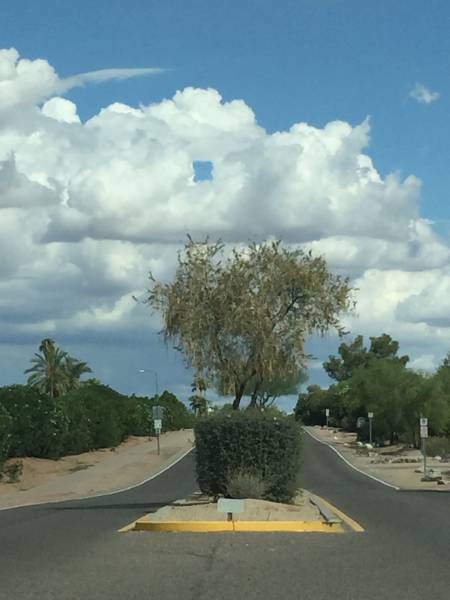 morning picdump 53 pics 36.html - 53 HD Photos | Premium Gallery 2015