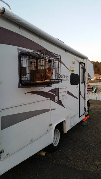 morning picdump 53 pics 36.html - 53 HD Photos | Premium Gallery 2015