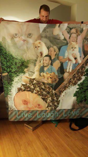 daily picdump 105 pics 7.html - 105 HD Photos | Premium Gallery 2015