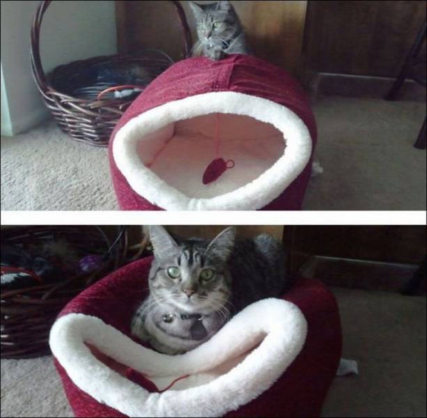 daily picdump 105 pics 7.html - 105 HD Photos | Premium Gallery 2015