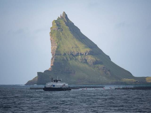 daily picdump 105 pics 7.html - 105 HD Photos | Premium Gallery 2015