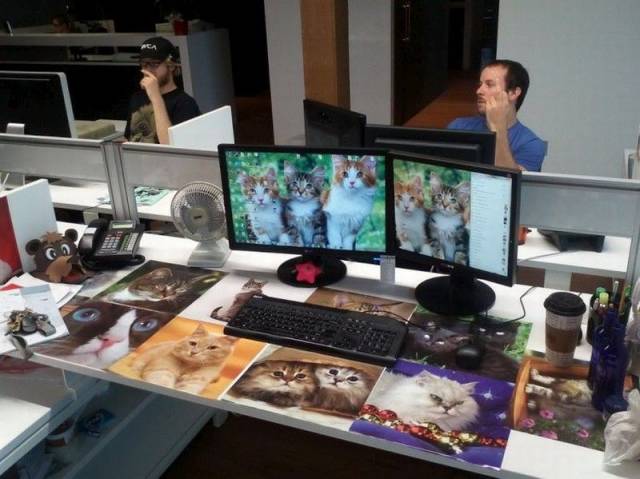 daily picdump 105 pics 7.html - 105 HD Photos | Premium Gallery 2015