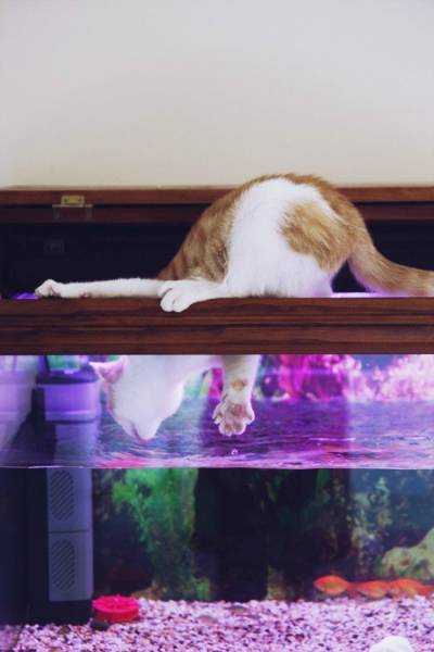 daily picdump 105 pics 7.html - 105 HD Photos | Premium Gallery 2015