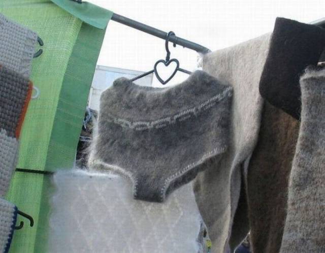 daily picdump 105 pics 7.html - 105 HD Photos | Premium Gallery 2015