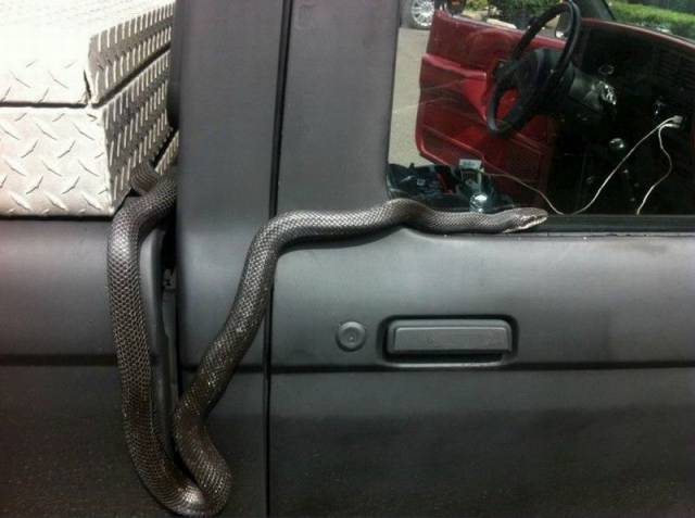 daily picdump 105 pics 7.html - 105 HD Photos | Premium Gallery 2015