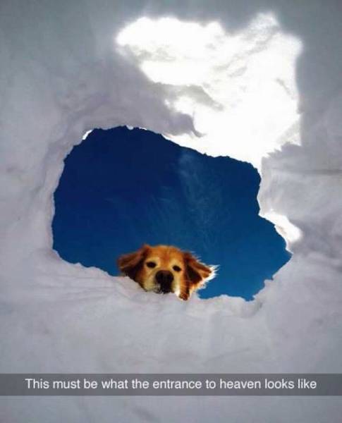 daily picdump 105 pics 7.html - 105 HD Photos | Premium Gallery 2015