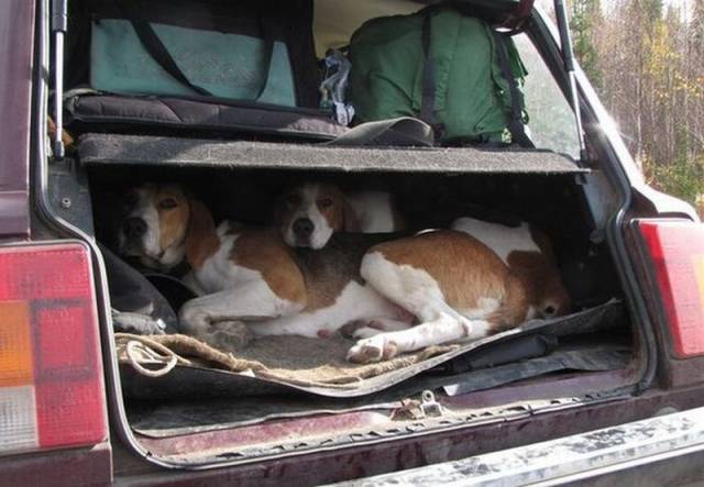 daily picdump 105 pics 7.html - 105 HD Photos | Premium Gallery 2015