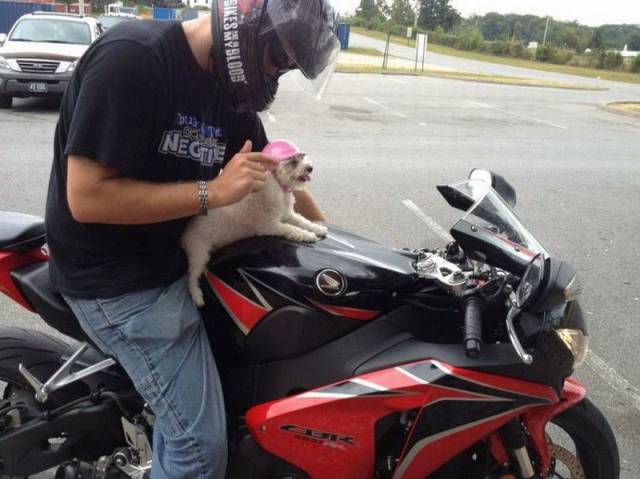 daily picdump 105 pics 7.html - 105 HD Photos | Premium Gallery 2015