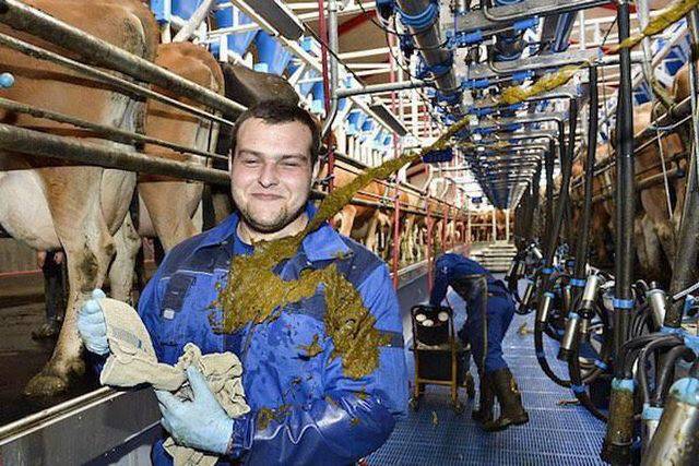 daily picdump 105 pics 7.html - 105 HD Photos | Premium Gallery 2015