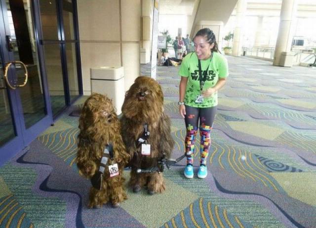 daily picdump 105 pics 7.html - 105 HD Photos | Premium Gallery 2015