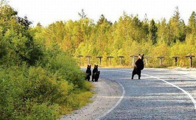 daily picdump 105 pics 7.html - 105 HD Photos | Premium Gallery 2015