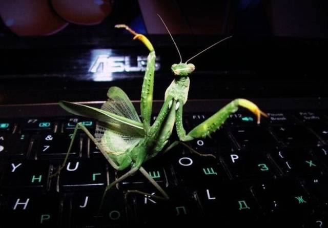 daily picdump 105 pics 7.html - 105 HD Photos | Premium Gallery 2015