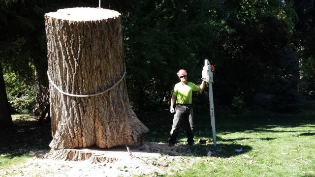 daily picdump 105 pics 7.html - 105 HD Photos | Premium Gallery 2015