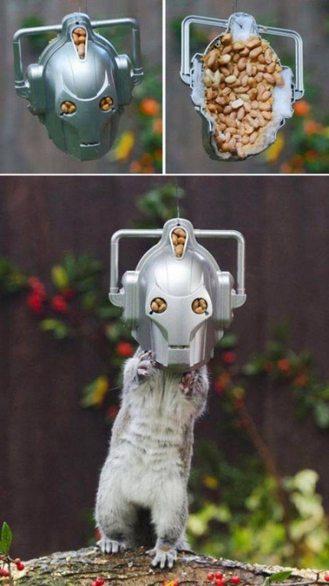 daily picdump 105 pics 7.html - 105 HD Photos | Premium Gallery 2015