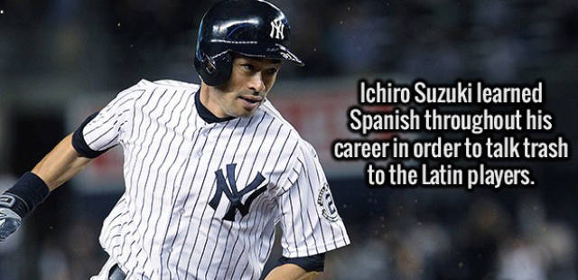 Interesting Facts about Anything and Everything