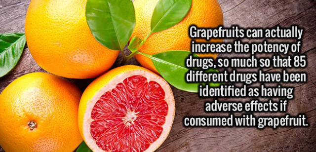 Interesting Facts about Anything and Everything