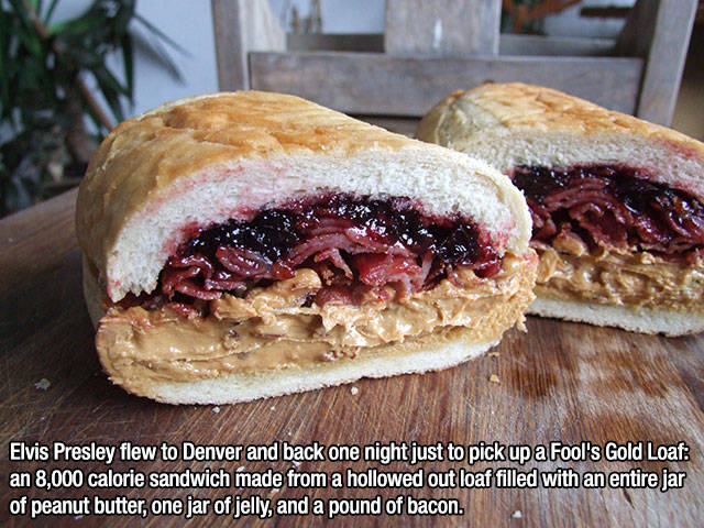 Interesting Facts about Anything and Everything