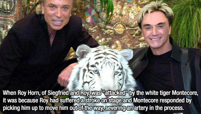 Interesting Facts about Anything and Everything