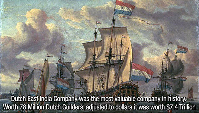 Interesting Facts about Anything and Everything