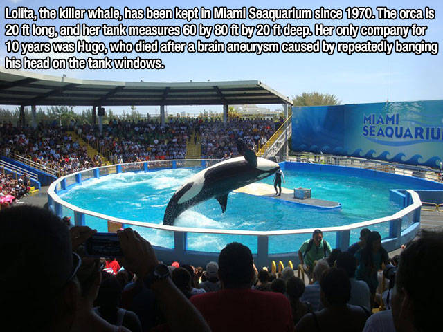 Interesting Facts about Anything and Everything