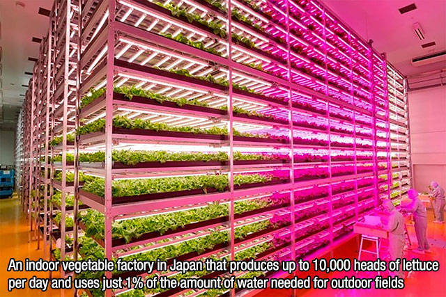 Interesting Facts about Anything and Everything