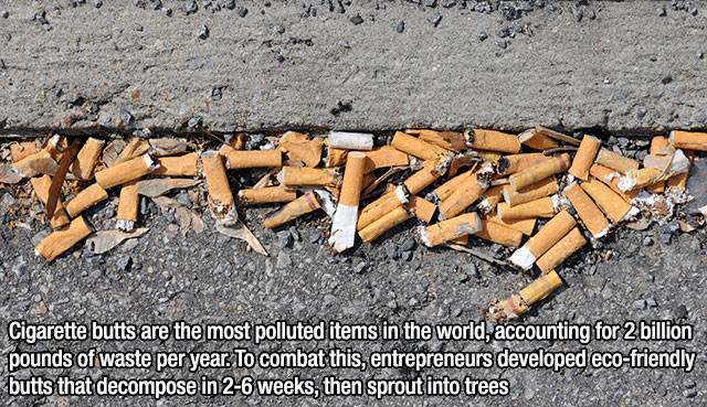 Interesting Facts about Anything and Everything