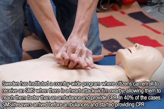 Interesting Facts about Anything and Everything