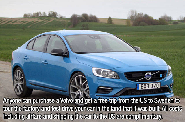 Interesting Facts about Anything and Everything