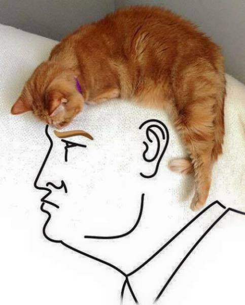 Morning Picdump
