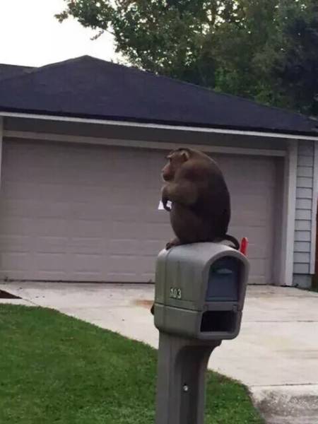Morning Picdump