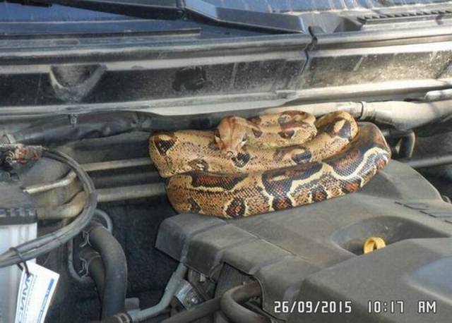 daily picdump 104 pics 10.html - 104 HD Photos | Premium Gallery 2015