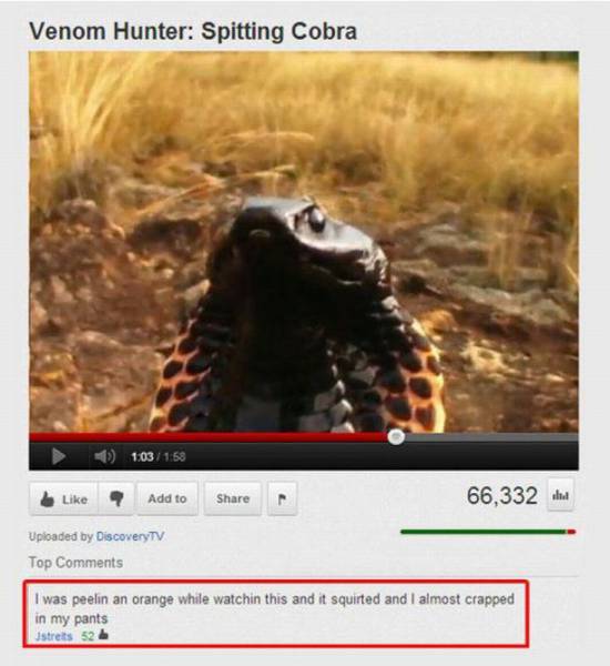 daily picdump 104 pics 10.html - 104 HD Photos | Premium Gallery 2015