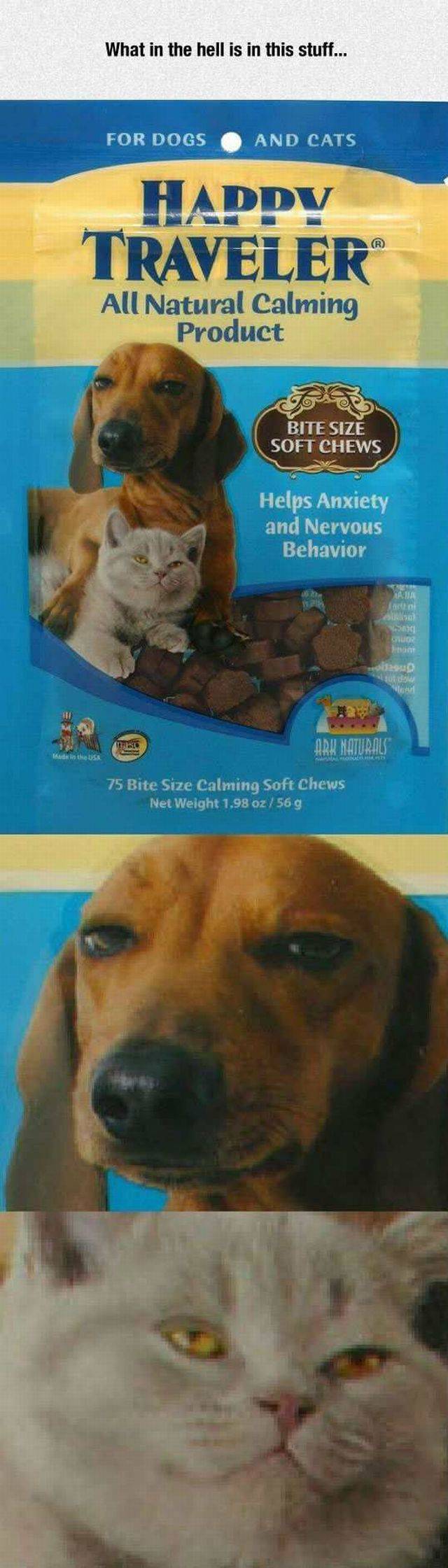 daily picdump 104 pics 10.html - 104 HD Photos | Premium Gallery 2015