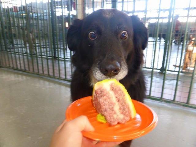 page,30,top 1500 daily pics of the year 2015.html - 1 HD Photos | Premium Gallery 2015