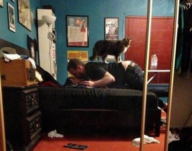 Everyone Loves a Good Dirty Joke