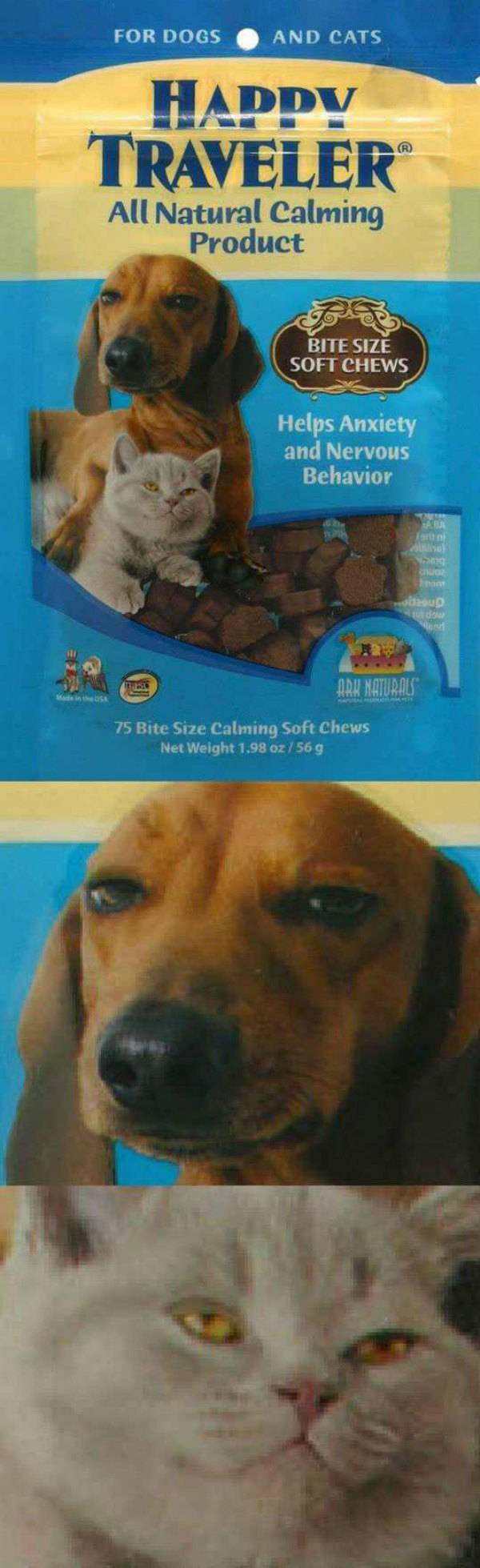 Everyone Loves a Good Dirty Joke