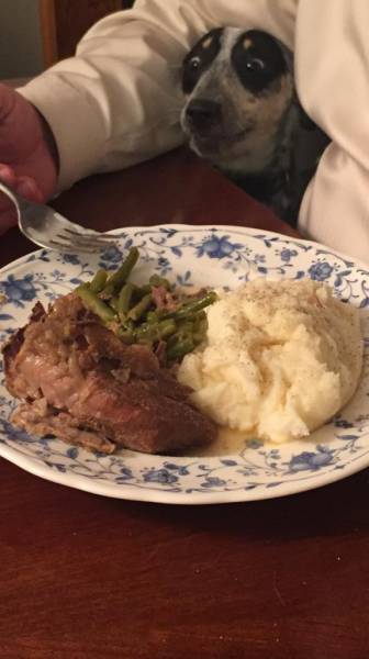 morning picdump 53 pics 40.html - 53 HD Photos | Premium Gallery 2015