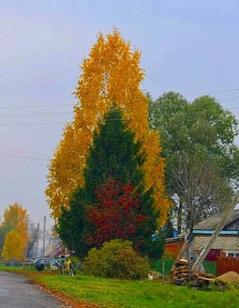 morning picdump 53 pics 40.html - 53 HD Photos | Premium Gallery 2015