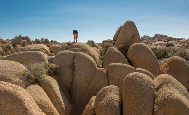 morning picdump 53 pics 40.html - 53 HD Photos | Premium Gallery 2015